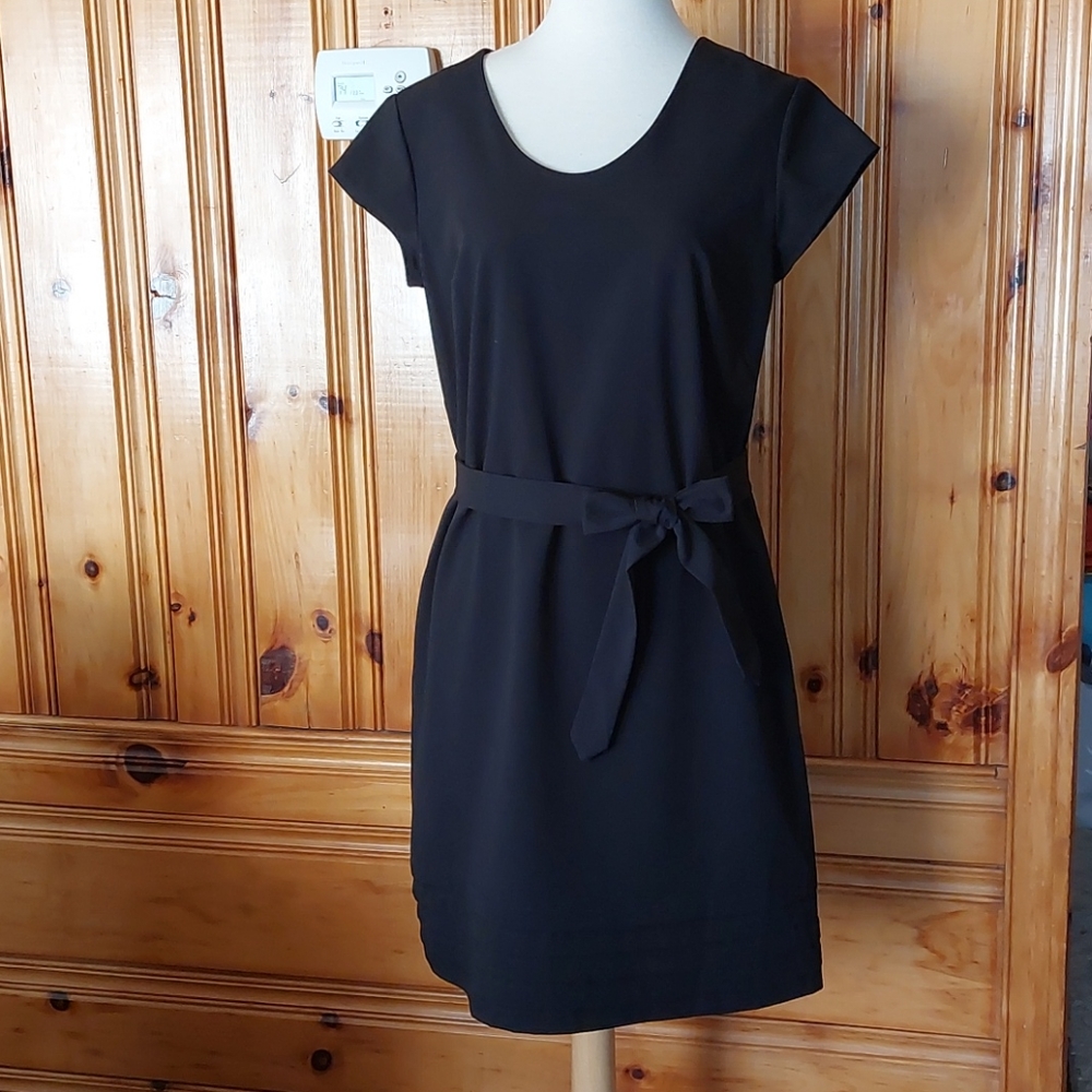 Well made EUC cap sleeve a-line LBD size 10